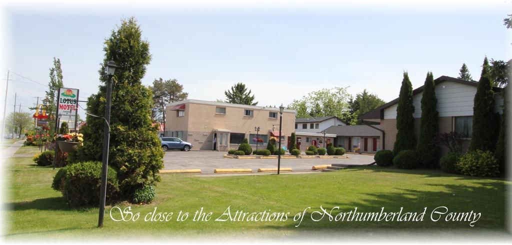 Lotus Motel Cobourg Exteriér fotografie